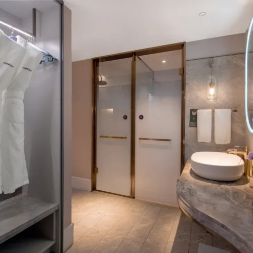 Deluxe Room With 1 Kingsize Bed